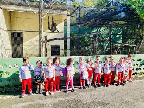 Centro Educacional Jardim Amália - 10