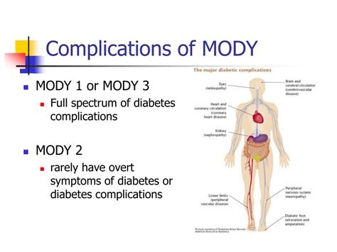 PPT - Maturity Onset Diabetes in Youth (MODY) PowerPoint Presentation ...