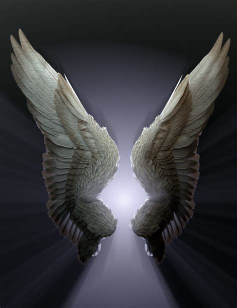 Feathered Wings for All | Daz 3D