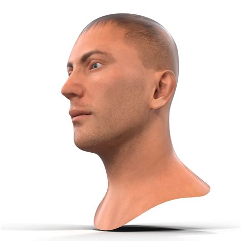 Cabeza masculina caucásica aparejada para Cinema 4D Modelo 3D $79 ...