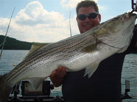 Local Experts Reveal The BEST Time To Fish For Striper In Fresno, CA Image 9
