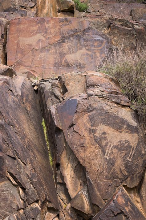 Tamgaly Petroglyphs – Kazakhstan - Lisa Germany
