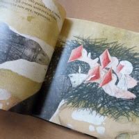 Книга: Воронова Роза - Хельга Банш. Купить книгу, читать рецензии ...
