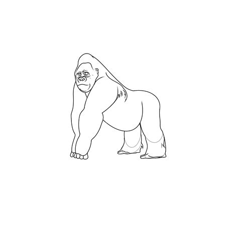 simple gorilla drawing 3