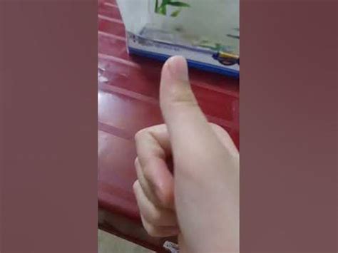 You will lose #shorts - YouTube