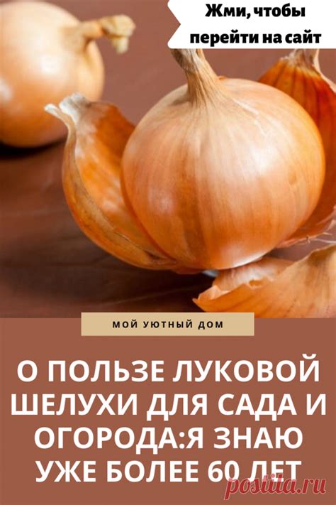 Польза луковой шелухи о которой стоит знать | Дача, Огород | Постила