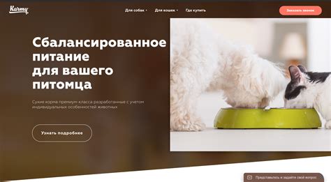 Корм для кошек Karmy: отзывы, разбор состава, цена - ПетОбзор
