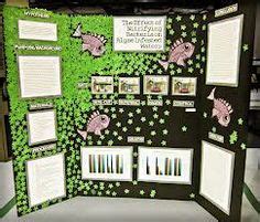 14 Science Fair Boards ideas | science fair, science fair board ...