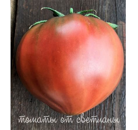 Черное сердце с носиком от Борисовны - семена томатов
