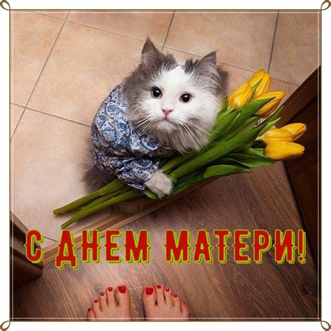 Прикольные открытки с Днем Матери