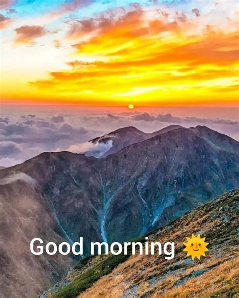 Best 20+ New Beautiful Good Morning Images » Mixing Images