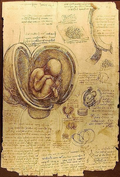 Леонардо да Винчи | Leonardo da vinci, Idee di sketchbook, Anatomia