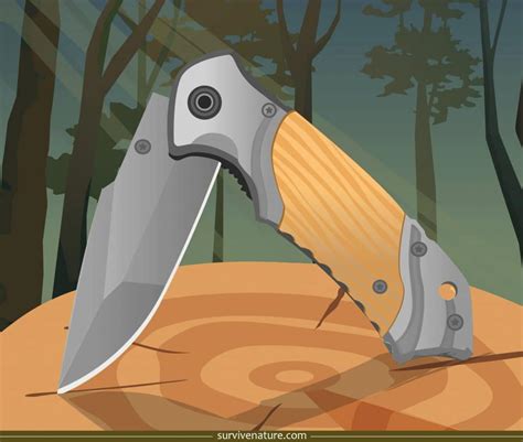 pocket knife review  buying guide survive nature