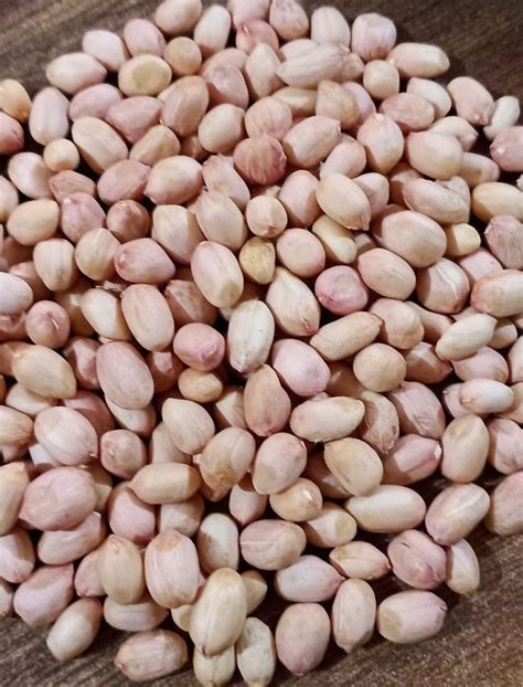 groundnut seed  kg peanut seeds  mainpuri id