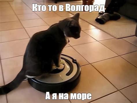Создать мем "робот-пылесос, говорящий робот пылесос, квадратный робот ...