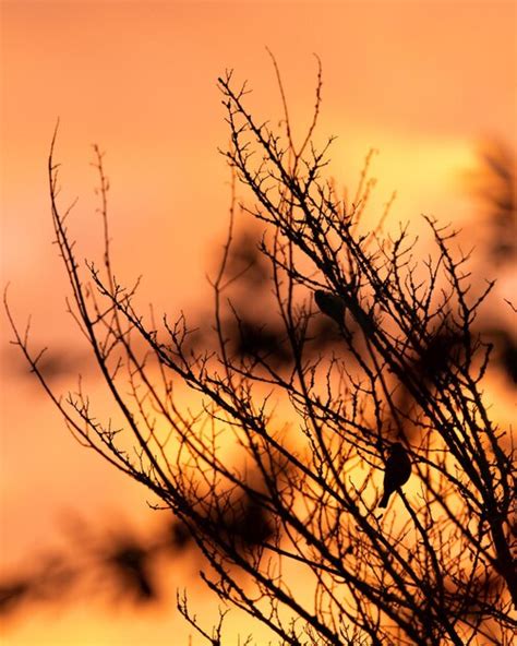Premium Photo | Backlight