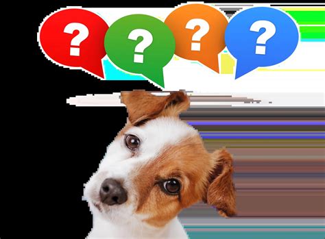 how to remove something stuck in cats throat at home