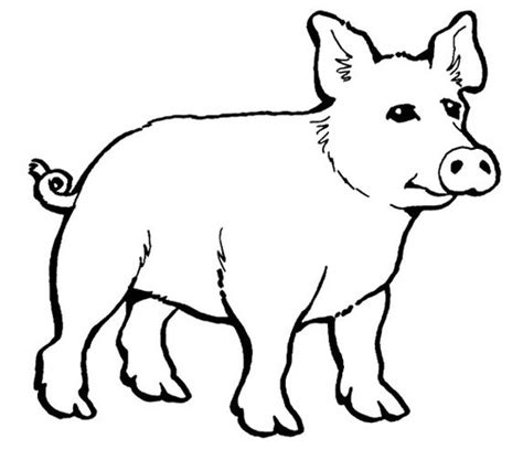 Free Sad Pig Cliparts, Download Free Sad Pig Cliparts png images, Free ...