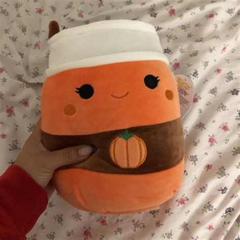 Paislynn Squishmallow - pumpkin spice latte -... - Depop