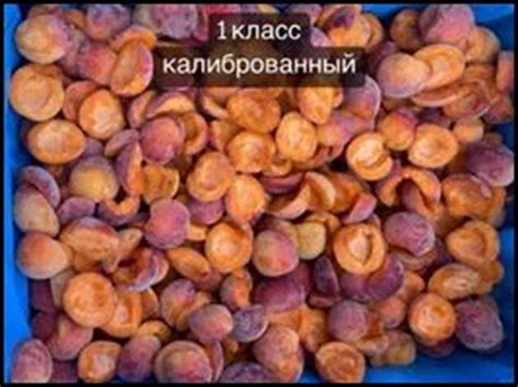 Скок на продажбите на замразени кайсии в Европа през януари | Български ...