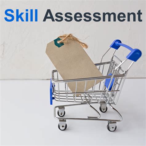 Skill Assessment for the Secondary Applicant - Sydney Visa