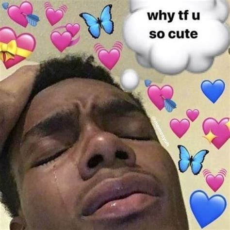 tf    cute meme deanne stageman
