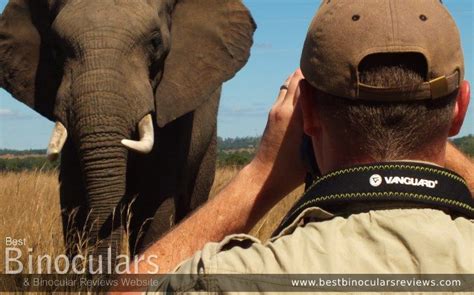 Safari Binoculars | Best Binoculars for Safaris & Travel 2025 - Buyers ...