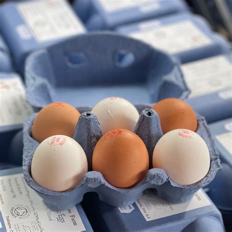 Eggs & Dairy - Sandy Lane Farm
