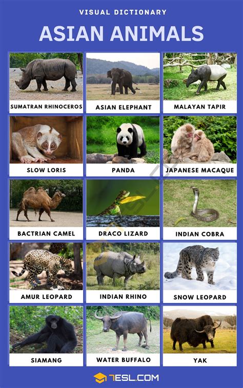 asian animal list 10
