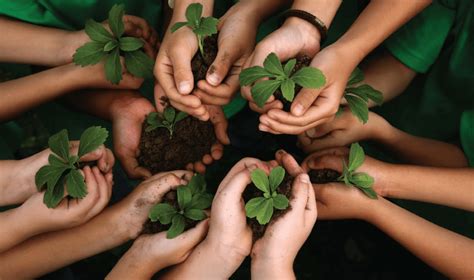 Sociedade E Meio Ambiente - Sociedade e Meio Ambiente - REAM
