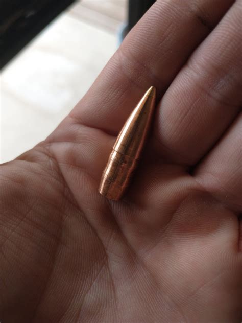 .375 Raptor Recipe | Sniper's Hide Forum