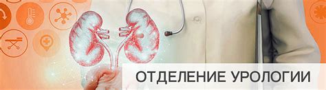 Хирургическая урология в Краснодаре