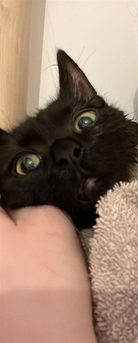 He had his poop all over his arse and house so we bathe him. This is
