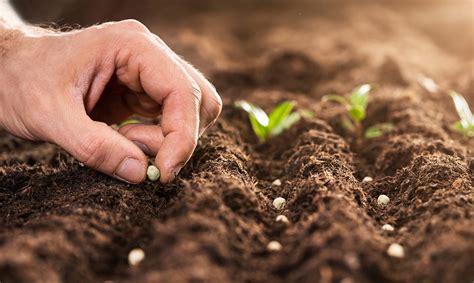 unidad pastoral de villaobispo quinto domingo de cuaresma