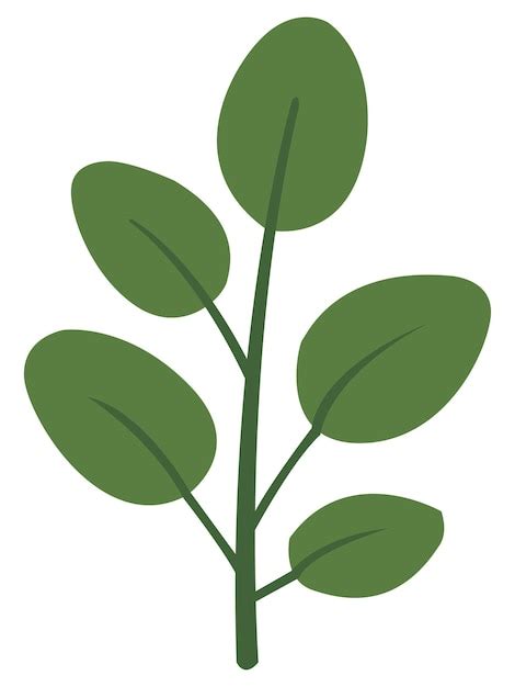 premium vector plant vector