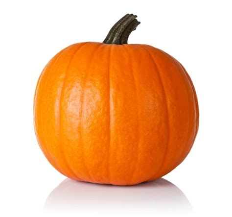 Pumpkin Stock Photos, Royalty Free Pumpkin Images | Depositphotos