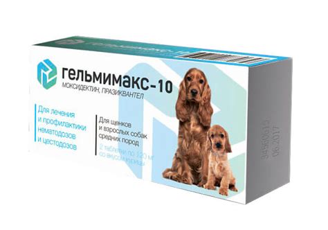 Гельмимакс для собак: отзывы, инструкция по применению, противопоказания