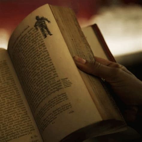 reading book gifs gifdbcom