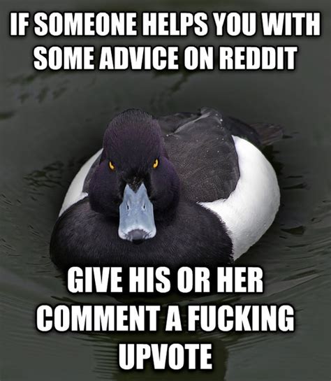 Angry Advice Mallard - Meme Guy