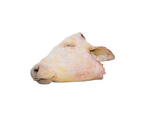 beef  head
