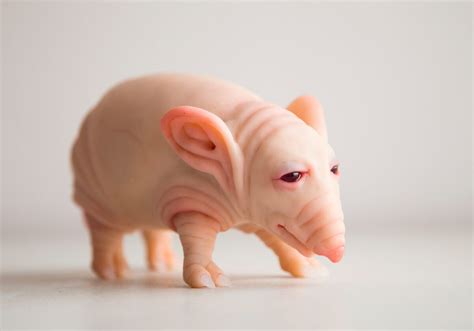 Cocoon Toy: diving into the meticulous craft of Anna Lesnichaya’s ...