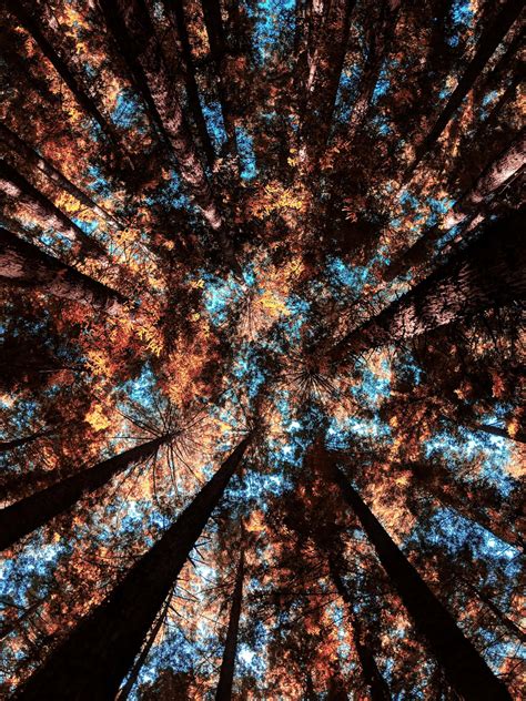Download Unlock Your Potential Wallpaper | Wallpapers.com
