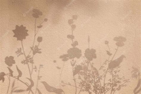 beige aesthetic pictures wallpaperscom