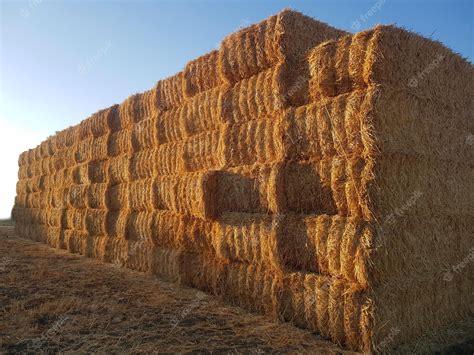 Premium Photo | Hay blocks and straw harvesting agriculture concept
