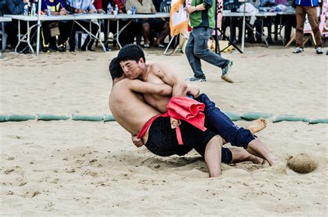 Ssireum at the Sand Fest in Busan | 10 Pictures in Pohang