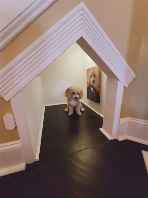 I built a dog house under the stairs! First time doing anything like ...