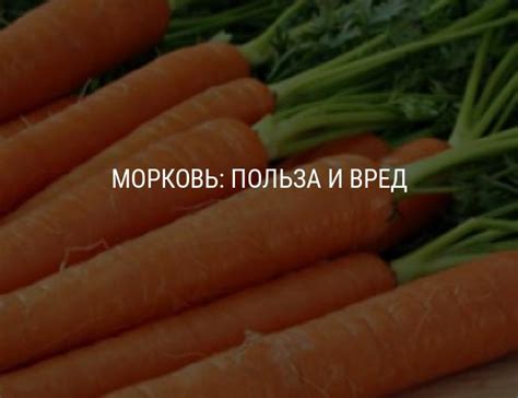 Польза и вред моркови, химический состав моркови, как выбрать и ...