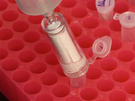 Video: An Aquatic Microbial Metaproteomics Workflow: From Cells to ... 