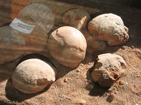dinosaur laying eggs