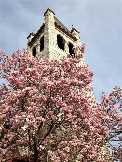 The church and chapel waukesha history contains a hidden vault 7